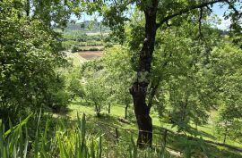 ISTRA, PAZIN - Obiteljska kuća u prirodi s prekrasno uređenom okućnicom, pogled na zelenilo, Pazin - Okolica, House