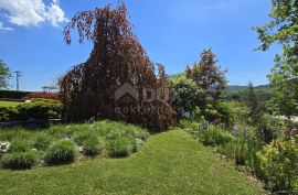 ISTRA, PAZIN - Obiteljska kuća u prirodi s prekrasno uređenom okućnicom, pogled na zelenilo, Pazin - Okolica, House