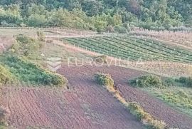 Istra, Draguć, poljoprivredno zemljište 11174m2 tik ispod naselja, Cerovlje, Terreno