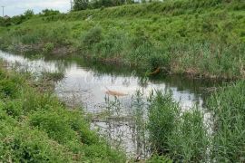 Surčin, 87 ari, zemljište u građevinskom području ID#1688, Surčin, Terreno