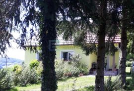 Obiteljska kuća PRODAJA s velikim imanjem 44000 m2, Desinić, House