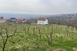 Slavonski Brod, Casa