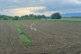 Prodaja Zemljišta u Ščitarjevu, Idealno za Različite Poduzetničke Ideje, Velika Gorica - Okolica, Zemljište