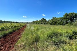 Poljoprivredno Zemljište u Muntiću: 1971 m², Ližnjan, Terra