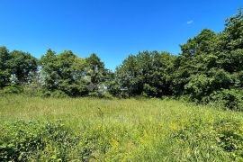 Poljoprivredno Zemljište u Muntiću: 1971 m², Ližnjan, Terreno