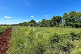 Poljoprivredno Zemljište u Muntiću: 1971 m², Ližnjan, Terreno