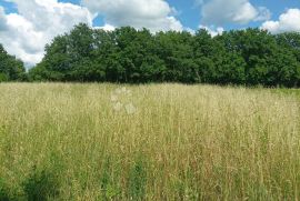 Građevinsko zemljište u okolici Žminja, Žminj, Land