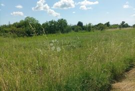 Građevinsko zemljište u okolici Žminja, Žminj, Terrain