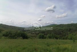 Ripanj, Srednji Prnjavor, Avala,  20028m2 ID#1172, Voždovac, Land