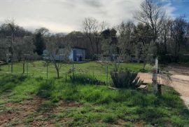Poljoprivredno zemljište Prodaja poljoprivredne parcele sa gradskom vodom i septičkom jamom, Valtura!, Ližnjan, Γη