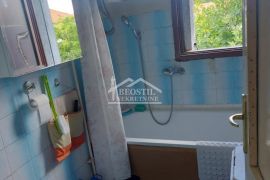 Zemun - Novi Grad - 2.0 ID#20353, Zemun, Appartment