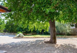 ISTRA, ŽMINJ - Prekrasna kamena hacijenda s bazenom!, Žminj, Σπίτι