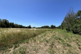 Atraktivno zemljište za agroturizam, Ližnjan, Land