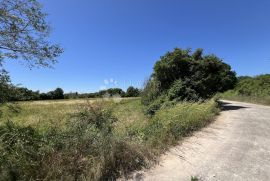 Atraktivno zemljište za agroturizam, Ližnjan, Terrain