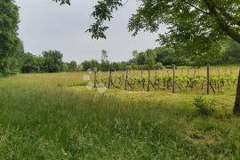 Poljoprivredno zemljište i vinograd, Labin, Земля