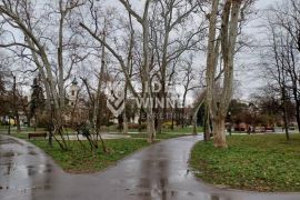 Neverovatna ponuda, Zemun ID#129014, Zemun, Propriedade comercial