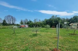 Poljoprivredno zemljište Prodaje se poljoprivredno zemljište u Valbandonu, Fažana, Terreno