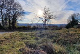 ISTRA, BARBAN - Zemljište s pravomoćnom dozvolom i plaćenim komunalijama, prekrasan pogled, Barban, Земля