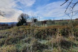 ISTRA, BARBAN - Zemljište s pravomoćnom dozvolom i plaćenim komunalijama, prekrasan pogled, Barban, Terrain