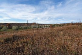 ISTRA, BARBAN - Zemljište s pravomoćnom dozvolom i plaćenim komunalijama, prekrasan pogled, Barban, Terrain