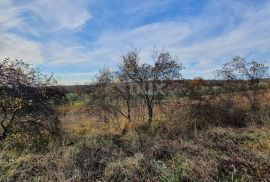 ISTRA, BARBAN - Zemljište s pravomoćnom dozvolom i plaćenim komunalijama, prekrasan pogled, Barban, Tierra