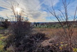 ISTRA, BARBAN - Zemljište s pravomoćnom dozvolom i plaćenim komunalijama, prekrasan pogled, Barban, Terrain