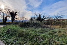 ISTRA, BARBAN - Zemljište s pravomoćnom dozvolom i plaćenim komunalijama, prekrasan pogled, Barban, Terrain