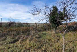 ISTRA, BARBAN - Zemljište s pravomoćnom dozvolom i plaćenim komunalijama, prekrasan pogled, Barban, Terrain