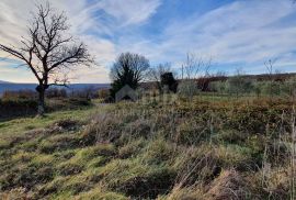 ISTRA, BARBAN - Zemljište s pravomoćnom dozvolom i plaćenim komunalijama, prekrasan pogled, Barban, Tierra