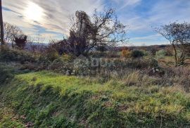 ISTRA, BARBAN - Zemljište s pravomoćnom dozvolom i plaćenim komunalijama, prekrasan pogled, Barban, Tierra