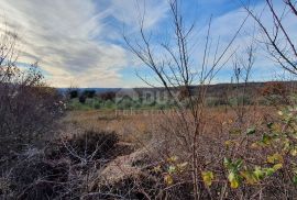 ISTRA, BARBAN - Zemljište s pravomoćnom dozvolom i plaćenim komunalijama, prekrasan pogled, Barban, Terrain