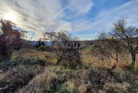 ISTRA, BARBAN - Zemljišta s pravomoćnim građevinskim dozvolama za gradnju 4 kuće s bazenima, komunalije plaćene, Barban, Land