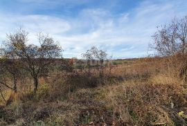 ISTRA, BARBAN - Zemljište s pravomoćnim građevinskim dozvolama i plaćenim komunalijama, prekrasan pogled sve do mora, Barban, Tierra