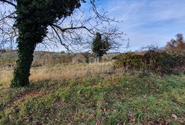 ISTRA, BARBAN - Zemljište s pravomoćnim građevinskim dozvolama i plaćenim komunalijama, prekrasan pogled sve do mora, Barban, Terrain