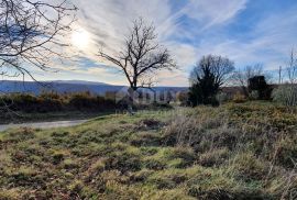 ISTRA, BARBAN - Zemljište s pravomoćnim građevinskim dozvolama i plaćenim komunalijama, prekrasan pogled, Barban, Land