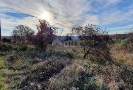 ISTRA, BARBAN - Zemljište s pravomoćnim građevinskim dozvolama i plaćenim komunalijama, prekrasan pogled, Barban, Terrain