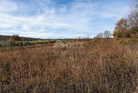 ISTRA, BARBAN - Zemljište s pravomoćnom građevinskom dozvolom i plaćenim komunalijama, prekrasan pogled, Barban, Land