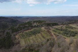 ISTRA, GROŽNJAN - Građevinsko zemljište s projektom za 3 kuće i panoramskim pogledom, Grožnjan, Земля