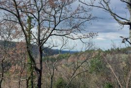 ISTRA, GROŽNJAN - Građevinsko zemljište s projektom za 3 kuće i panoramskim pogledom, Grožnjan, Land