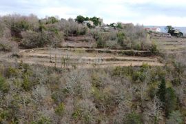 ISTRA, GROŽNJAN - Građevinsko zemljište s projektom za 3 kuće i panoramskim pogledom, Grožnjan, Terrain