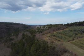 ISTRA, GROŽNJAN - Građevinsko zemljište s projektom za 3 kuće i panoramskim pogledom, Grožnjan, Γη