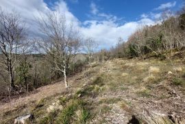 ISTRA, GROŽNJAN - Građevinsko zemljište s projektom za 3 kuće i panoramskim pogledom, Grožnjan, Terrain