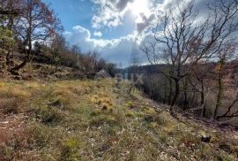 ISTRA, GROŽNJAN - Građevinsko zemljište s projektom za 3 kuće i panoramskim pogledom, Grožnjan, Γη