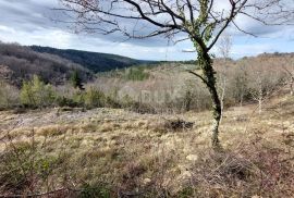 ISTRA, GROŽNJAN - Građevinsko zemljište s projektom za 3 kuće i panoramskim pogledom, Grožnjan, Zemljište