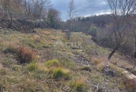 ISTRA, GROŽNJAN - Građevinsko zemljište s projektom za 3 kuće i panoramskim pogledom, Grožnjan, أرض