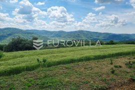 Istra, Buzet, građevinsko zemljište s pogledom na zelenilo  u pravoj oazi mira, Buzet, Terrain