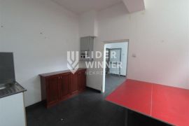 Poslovni prostor sa dvorištem ID#8124, Rakovica, Commercial property