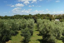 Kuća Prekrasna kuća sa bazenom i pogledom na more, blizina Fažane!, Fažana, Σπίτι