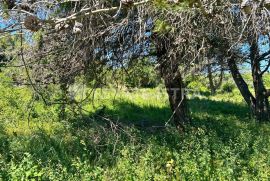 Građevinsko zemljište u Premanturi na prodaju, Medulin, Land