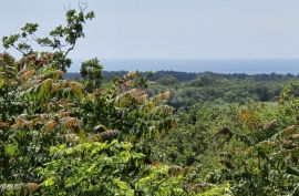 ISTRA, BUJE - Građevinsko zemljište s dozvolom za prizemnicu s bazenom, prekrasan pogled na more, Buje, Land